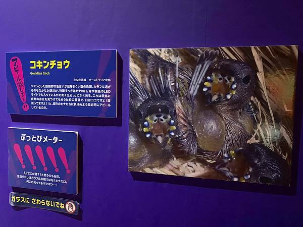 68936062_632957817193739_4452333622120153088_n.jpeg 68936062_632957817193739_4452333622120153088_n.jpeg