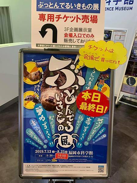 68924551_632957547193766_8848414489901531136_n.jpeg 68924551_632957547193766_8848414489901531136_n.jpeg