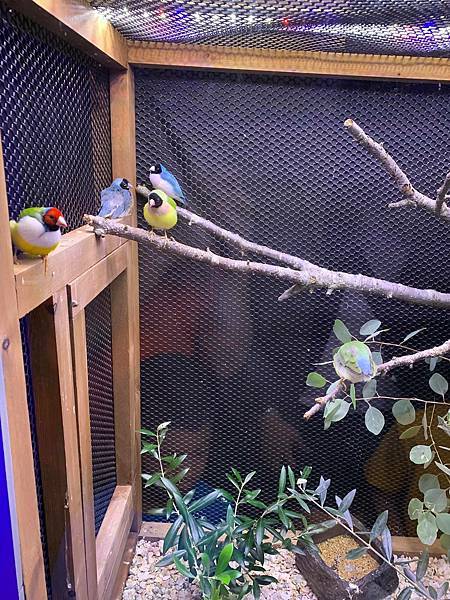 69476467_632957777193743_8371579721686712320_n.jpeg 69476467_632957777193743_8371579721686712320_n.jpeg