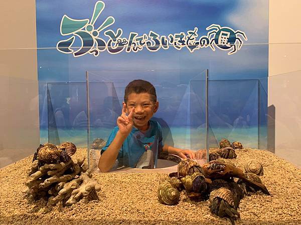 69619536_632957737193747_2945161376693223424_n.jpeg 69619536_632957737193747_2945161376693223424_n.jpeg