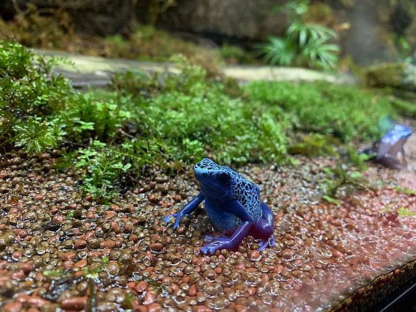 68900110_632957660527088_1085035315950780416_n.jpeg 68900110_632957660527088_1085035315950780416_n.jpeg