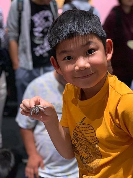 69767922_632957690527085_5217483497601499136_n.jpeg 69767922_632957690527085_5217483497601499136_n.jpeg