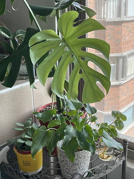 IMG_7767.jpg IMG_7767.jpg