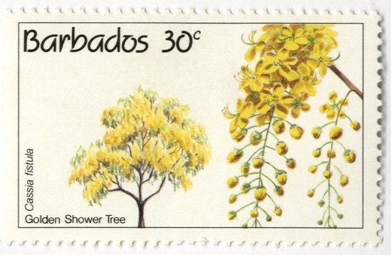 IMG_7820.JPG IMG_7820.JPG