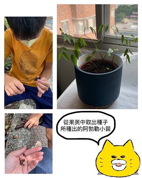 IMG_7822.JPG IMG_7822.JPG