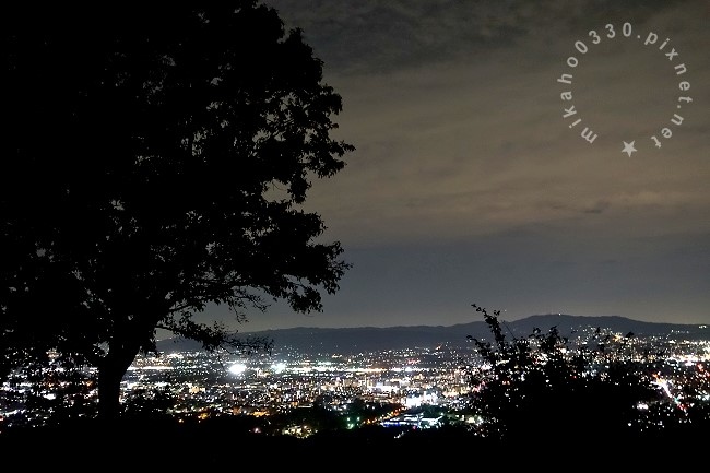 奈良若草山夜景鑑賞バス