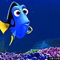 Finding-Dory-feature-image