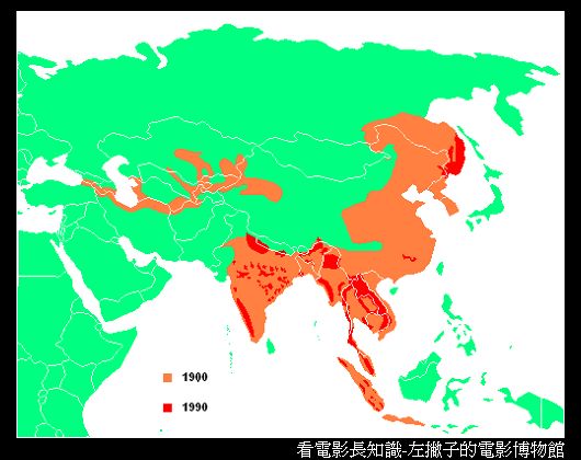 nEO_IMG_Tiger_distribution3.jpg