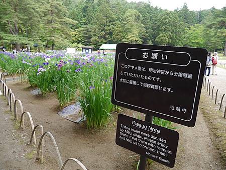 P1090824.JPG P1090824.JPG