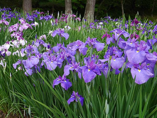 P1090845.JPG P1090845.JPG