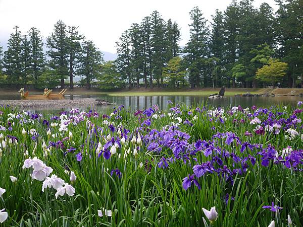 P1090856.JPG P1090856.JPG