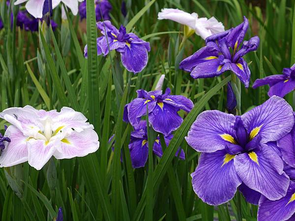 P1090876.JPG P1090876.JPG