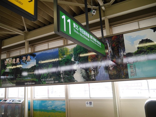 P1090706.jpg P1090706.jpg