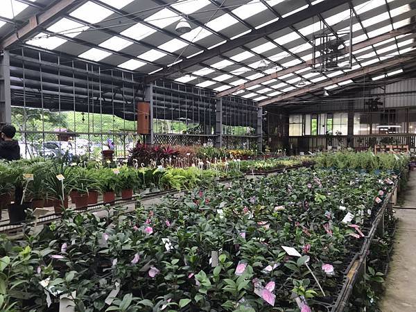 S__15958110.jpg S__15958110.jpg