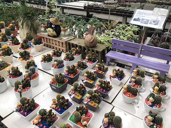 S__15958109.jpg S__15958109.jpg