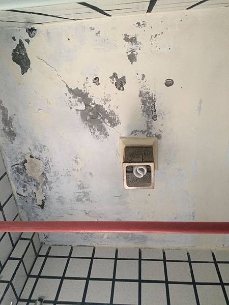 IMG_6815.JPG IMG_6815.JPG