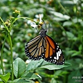 64_10360643403_o.jpg