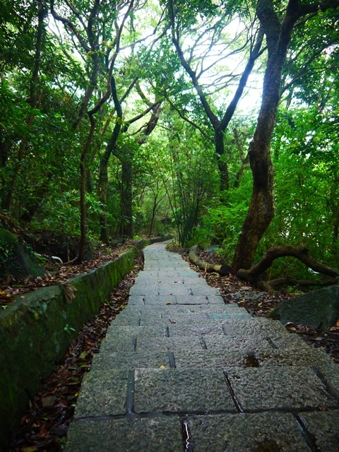 11_8688529434_o.jpg 11_8688529434_o.jpg