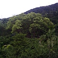 01_9741764716_o.jpg