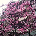 19_9739554685_o.jpg