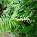 p1040465_8348771555_o.jpg