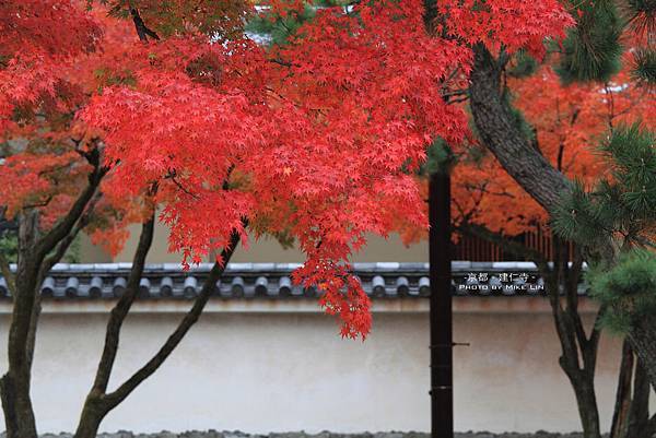 秋。京都