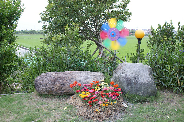 DSC08115.JPG