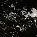 IMG_3562.jpg