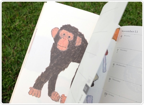 DSCF1070.JPG DSCF1070.JPG