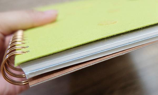 DSCF3282.JPG DSCF3282.JPG