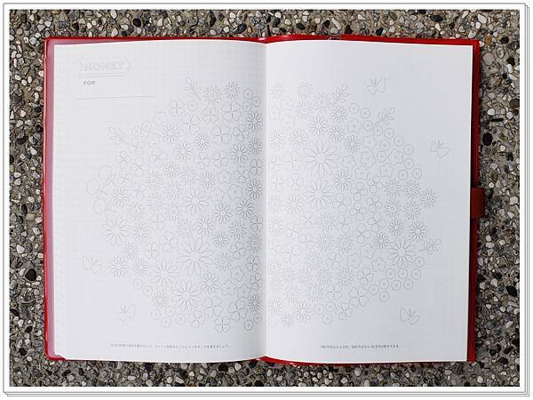 DSCF7170.JPG DSCF7170.JPG