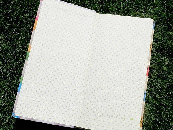 DSCF7255.JPG DSCF7255.JPG