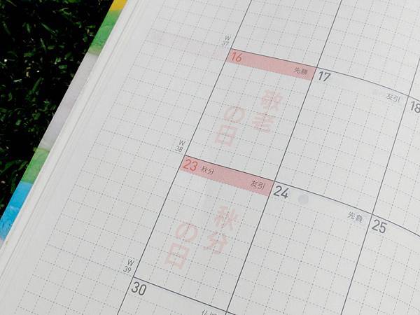 DSCF7262.JPG DSCF7262.JPG