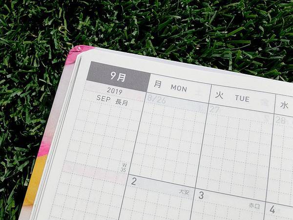 DSCF7261.JPG DSCF7261.JPG