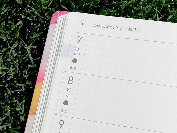 DSCF7265.JPG DSCF7265.JPG