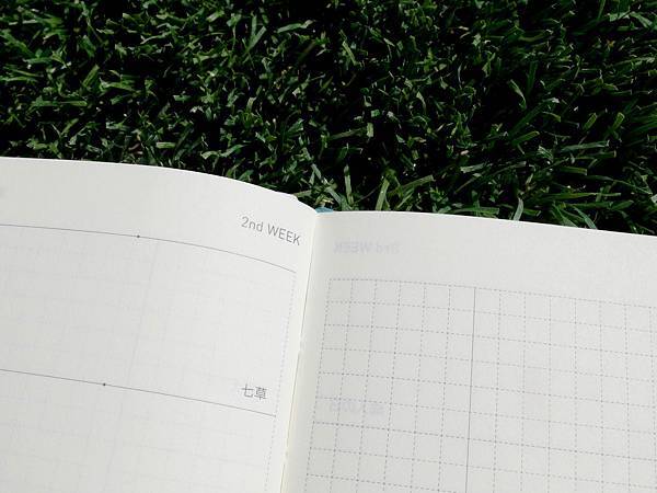 DSCF7269.JPG DSCF7269.JPG