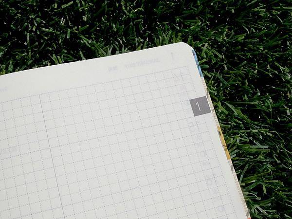 DSCF7268.JPG DSCF7268.JPG