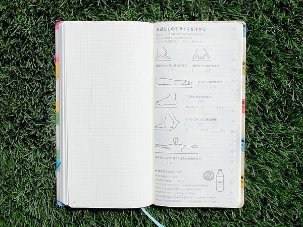 DSCF7274.JPG DSCF7274.JPG