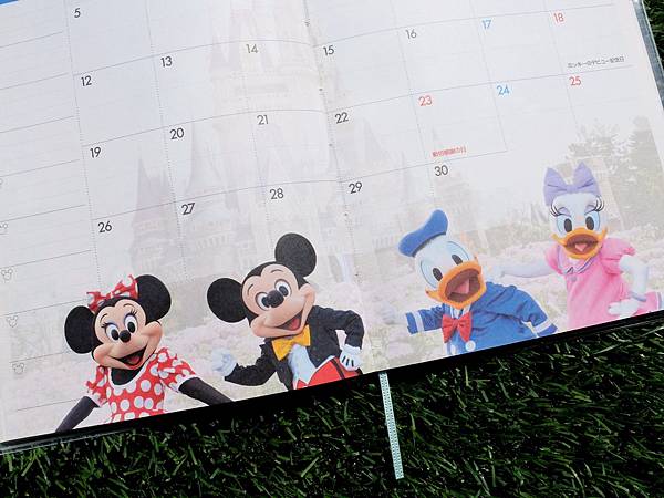 DSCF7300.JPG DSCF7300.JPG