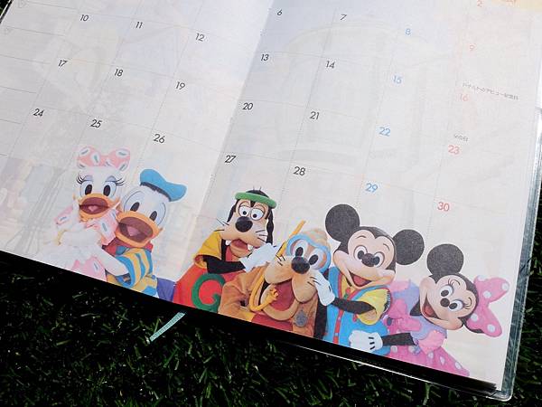 DSCF7303.JPG DSCF7303.JPG