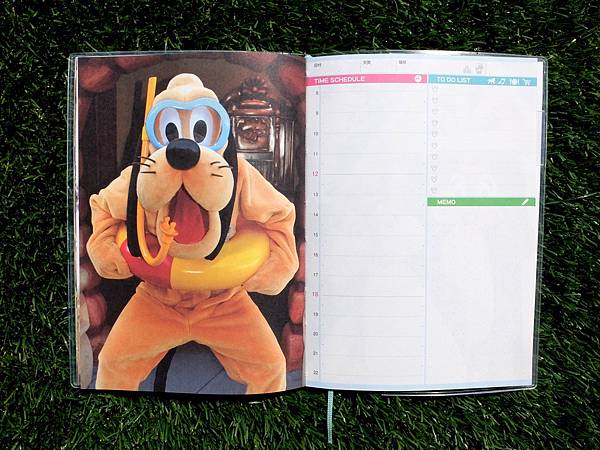 DSCF7306.JPG DSCF7306.JPG