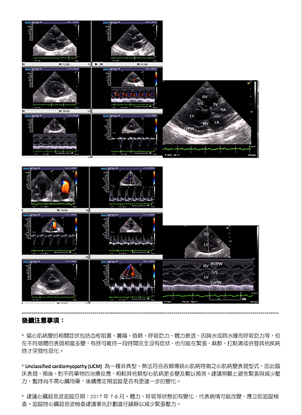 螢幕快照 2017-02-13 上午10.17.59.png