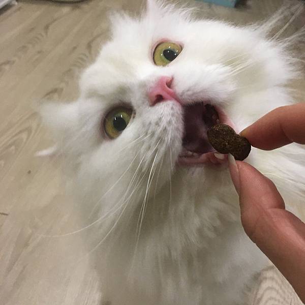 20171231191044_IMG_1546.JPG 20171231191044_IMG_1546.JPG