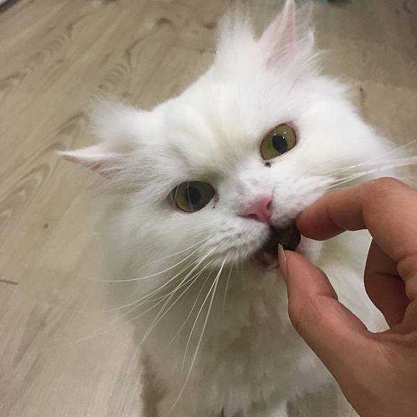 20171231191046_IMG_1547.JPG 20171231191046_IMG_1547.JPG