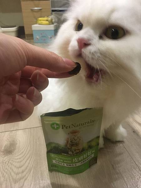 20171231191242_IMG_1550.JPG 20171231191242_IMG_1550.JPG