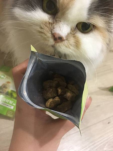 20171231191450_IMG_1555.JPG 20171231191450_IMG_1555.JPG