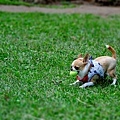 DSC_0035.jpg