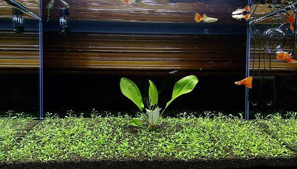 IMAG1642.jpg IMAG1642.jpg