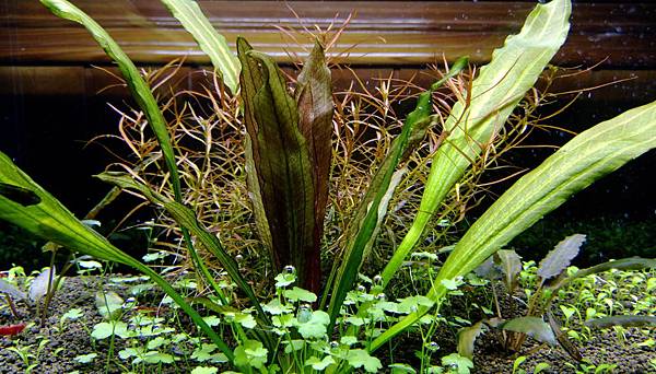 IMAG1979.jpg IMAG1979.jpg