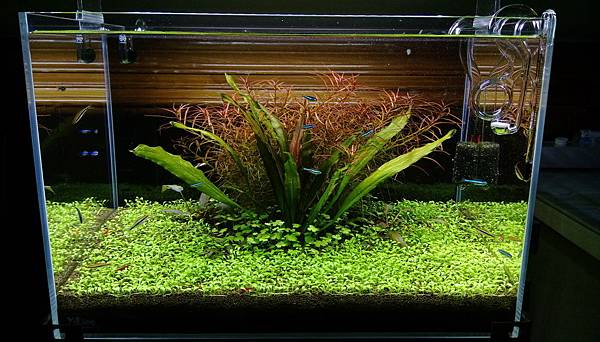 IMAG2527.jpg IMAG2527.jpg